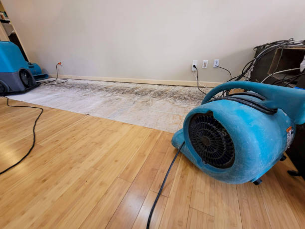 Professional Basement Flood Cleanup technician working in Murphy, NC